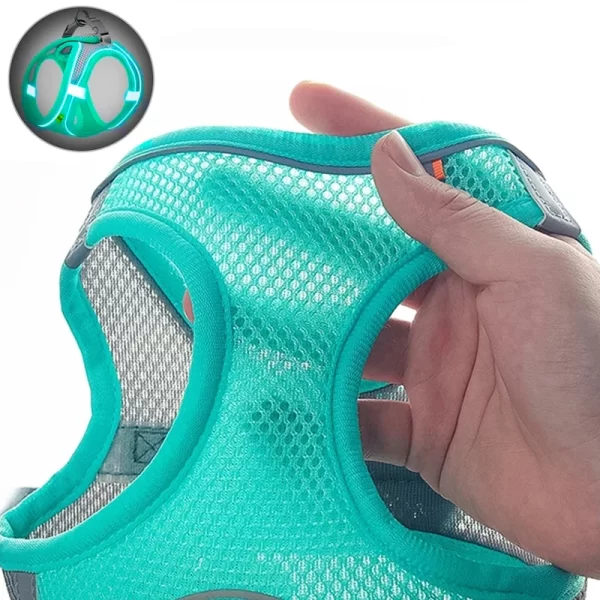 Breathable Adjustable Pet Harness with Leash
