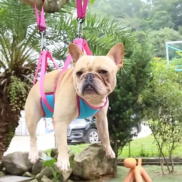 Pet Grooming Hammock
