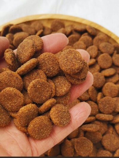 Big Grain Dog Food