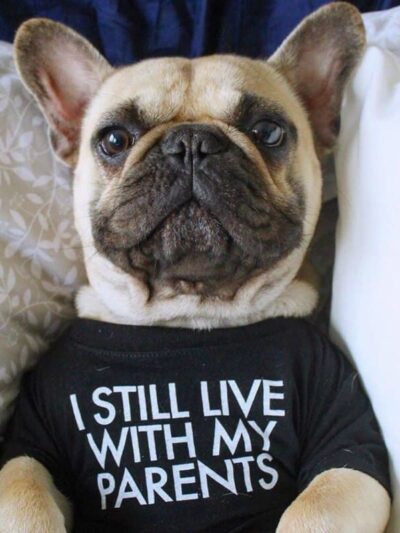 Printed T-Shirts