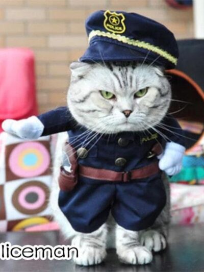 Cute Kitty Costume