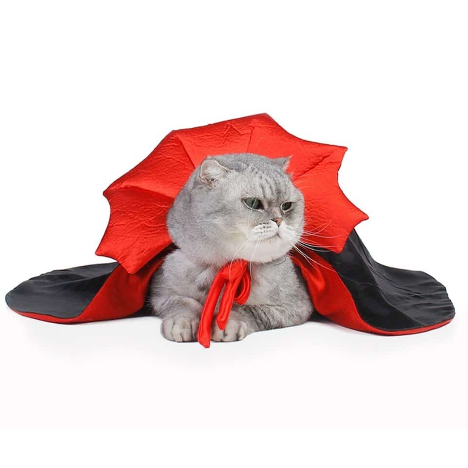 Halloween Vampire Costume - Image 7