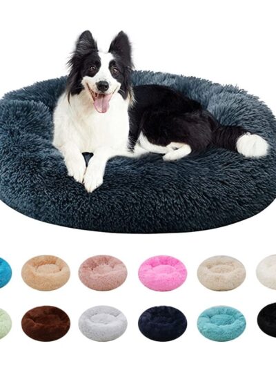 Super Soft Dog