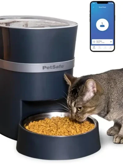 Cat Food Dispenser