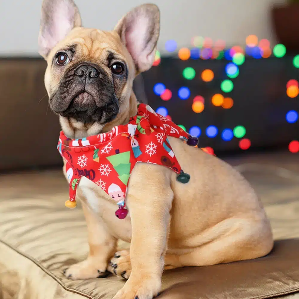 Pet Scarf Bandanas Christmas Dress Up Cat, Kitten, Puppy or small Dog Neckerchief - Image 4