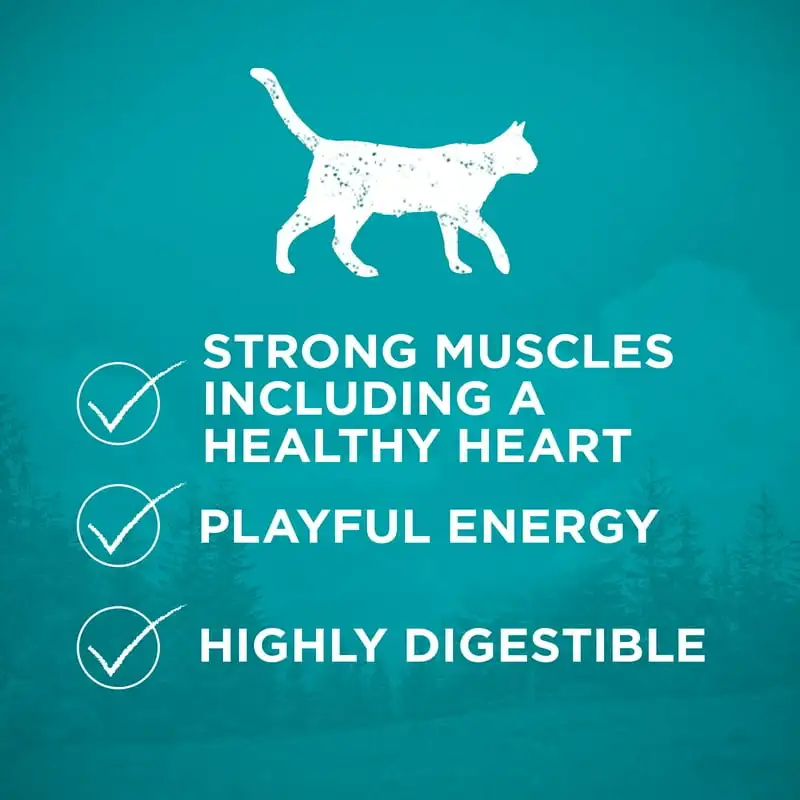 True Instinct Dry Cat Food Chicken, Grain-Free, 14.4 lb Bag - Image 4