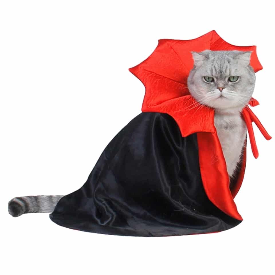 Halloween Vampire Costume